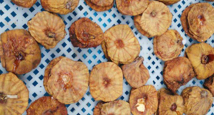 無(wú)花果烘干房